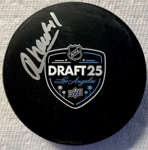 THEODOR HALLQUISTH AUTOGRAPH SIGNED 2025 NHL HOCKEY DRAFT PUCK AUTO OREBRO SHL - Picture 1 of 1
