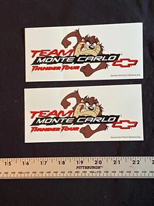 Pair 2 Unused Vintage Vinyl Racing Decals "Team Monte Carlo" Thunder Tour 1990s - Picture 1 of 1