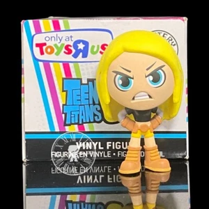 Funko Mystery Minis Teen Titans Go Terra + Toys R Us Exclusive Box - Picture 1 of 9