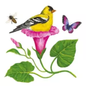 PAPER NAPKINS PK20 MORNING GLORY NEST BIRDS BEES BUTTERFLY 3 PLY MADE IN GERMANY - Picture 1 of 2