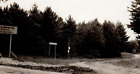 Road through the Pines to Van Ettan Lodge Oscoda, Michigan Pathway Auto RPPC