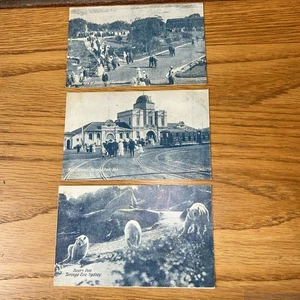 3x Vintage Postkarten Taronga Zoo Sydney Bären Eingang Zoologischer Garten - Bild 1 von 2