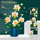Butterfly Plant Orchid Flowers Blocks DIY Plant Model Bricks  for Kids Gift