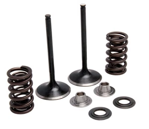 Kit de resorte de admisión y válvula Kawasaki KX450F Kibblewhite KPMI titanio 40-40380 - Imagen 1 de 1