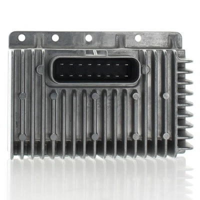 Control de módulo de carburador único Polaris OEM, Sportsman, 4011568 Foto 1 de 4