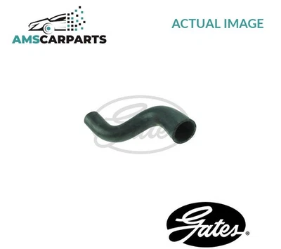 RADIATOR HOSE LOWER 05-3013 GATES NEW OE REPLACEMENT - Image 1 of 4