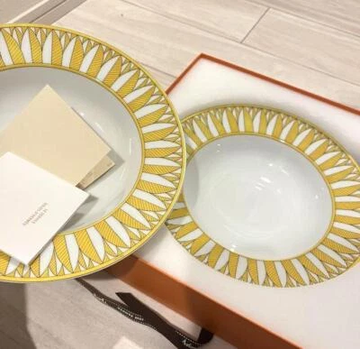 Hermes Soleil d'Hermes Plato de Pasta Amarillo Vajilla 2 Juego Cena Sopa Auténtico Nuevo Foto 1 de 4