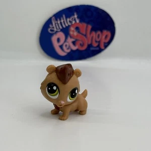 MINI HAMILTON RUMBLE HAMSTER #3706 - Authentic Littlest Pet Shop - Hasbro LPS - Picture 1 of 4