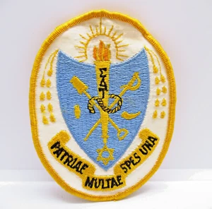 Parche Sigma Delta Tau Hermandad Antorcha Escudo Bebé Azul Dorado De Colección Letras Griegas - Imagen 1 de 7