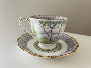 Royal Albert | Silver Birch Bone China Teacup Tea Cup & Saucer - Picture 1 of 7