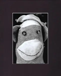 8X10" Matted Print Art Picture Photo Sock Monkey, Gray White - Picture 1 of 1