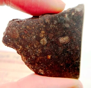 NWA 787 meteorite slice - 27 gram L3-6 chondrite  - Picture 1 of 8