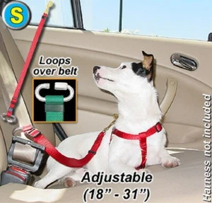 Seat Belt Tether for your pet/dog in the car - Small - PTST58 - Step 1 Blue - Picture 1 of 2