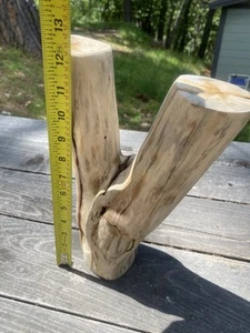 Organic Manzanita Log, Hand Sanded, Reptile Tank Decor, Fishtank or Aquarium - Picture 1 of 9