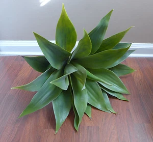 Künstlicher 20" großer Tequila Agave Kunststoff Sukkulenten Baum - Bild 1 von 4