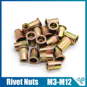 M3 - M12 Carbon Steel Color Zinc Flat Head Rivnut Rivet Nuts Threaded Insert - Picture 1 of 15