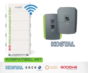 Batería Dyness T17 17,75 kWh 480 V LiFePO4 memoria para Kostal Plenticore GoodWe DE - Imagen 1 de 5