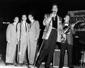 Elvis 10" x 8" Photograph no 8 - Picture 1 of 1
