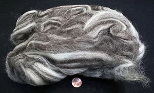 Needle Felting 100% Natural Wool Top Roving: CHOCOLATE & CREAM - 2 Ounces - Picture 1 of 4
