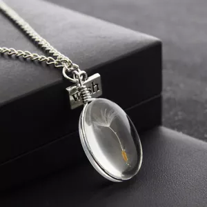 Halskette 3D Oval Glücksbringer Löwenzahn Pusteblume Kette Anhänger Glück Silber - Bild 1 von 2