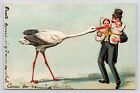 c1900s Stork Delivers Babies to Father Embossed Surreal Art Antique Postcard
