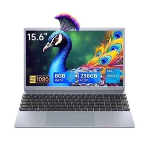 RNRUO 15.6 inch 1080p Laptop Computer 8GB RAM 256GB SSD with 4 Core Intel Pentiu - Picture 1 of 5