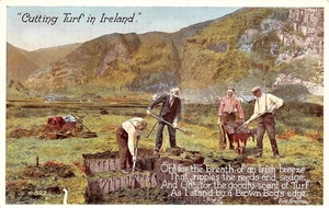 # K2035 IRLANDA POSTAL, "CORTE CÉSPED en IRLANDA" - Imagen 1 de 2