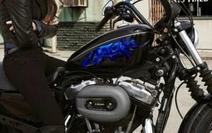 Calcomanía de bicicleta a todo color, vinilo 3D Dragons Chopper, gráficos Dragons Crotch Rocket  - Imagen 1 de 11