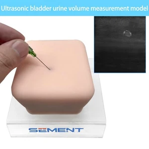 1 Stück Ultraschall Blase Urin Volumen Messmodell, Medizin Lehre, wiederverwendbar - Bild 1 von 10