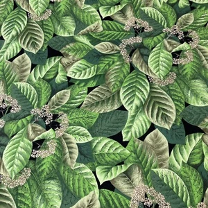 Bonnie Ben Stratton The Healing Garden Leaf Print Fabric 35 inches Uncut - Picture 1 of 7