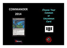 MTG Commander 2014 C14 Common / Uncommon Choose your Card