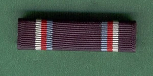 CINTA DE INSTRUCTOR DE ENTRENAMIENTO MILITAR DE LA FUERZA AÉREA DE EE. UU. - Imagen 1 de 1