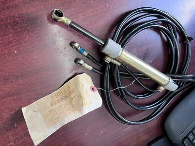 Mercedes GL320 X164 2007-2012 tapa maletero puerta levadiza cilindro elevador hidráulico OEM Foto 1 de 4