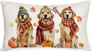 AACORS Fall Pillow Cover 12x20 20&quot; x 12&quot; (Pack of 1), Multicolor  - Picture 1 of 7