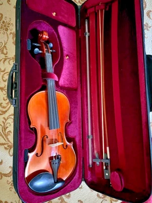 雅马哈 4/4 小提琴 V10G 2006 – 状况完好 + 硬质保护壳 — 第 1/4 张图片