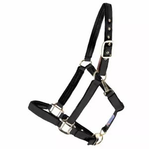 Soporte separatista Dura-Tech® Deluxe totalmente acolchado de nailon - Imagen 1 de 5