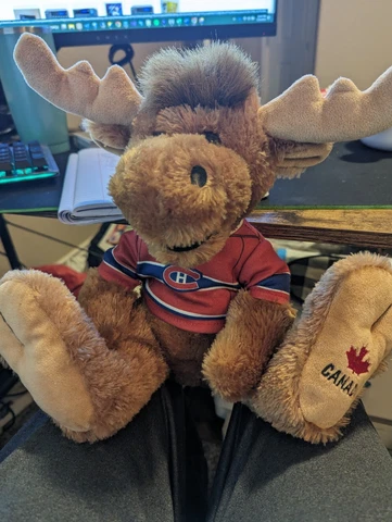 Stuffed Animal House Moose with Montreal Canadiens Jersey Cover