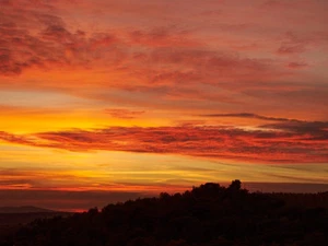 Sunset Clouds Trees Unframe 12x16" Wall Art Nature Landscape Canvas Prints - Picture 1 of 3