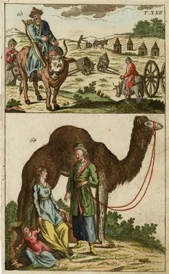 Tracht Tartaren Kamel Costumes Gottlieb Wilhelm handkolor Kupferstich um 1800 - Bild 1 von 2