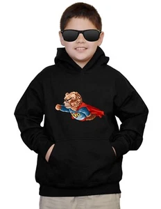 Youth Superhero Bear F177 Black Hoodie Kids Funny Cute Panda Teddy - Picture 1 of 2