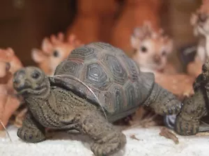Schildkröte Miniatur Deko Figur naturgetreu Blumenstecker Hotant NEU - Bild 1 von 4
