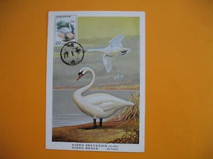 Card Maximum Korea - Carte Maximum Corée - Bird - Oiseaux Cygne - Imagen 1 de 1
