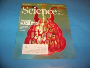 Science AAAS Magazine 2019 Engineered Vasculature - Imagen 1 de 4