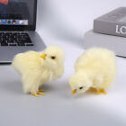 Simulation Chick Toy Chick Ornament Gifts Chicken Model Miniature Decorations