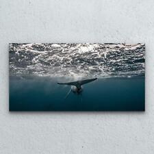 Tempered Glass Print Decoration Wall Art  100x50 Whale Ocean Wildlife