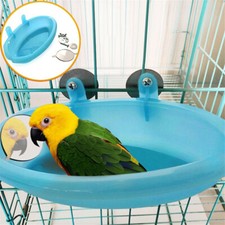 parakeet toys for sale