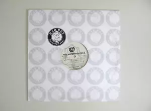 The Notorious B.I.G. – Notorious 12" Single Hip Hop Promo Vinyl US 1999 EX- - Bild 1 von 2