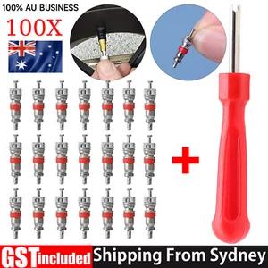 100PCS Car Valve Core Remover Tool Truck Replacement Tire Tyre Valve Stem Core - Picture 1 of 12