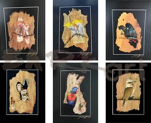 Australian BARKart Prints DIRECT FROM ARTIST - Set of 6 -60% off - Picture 1 of 1