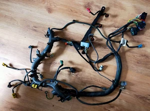 Citroen Xsara Picasso 2.0 HDI Engine Wiring Loom - Picture 1 of 6